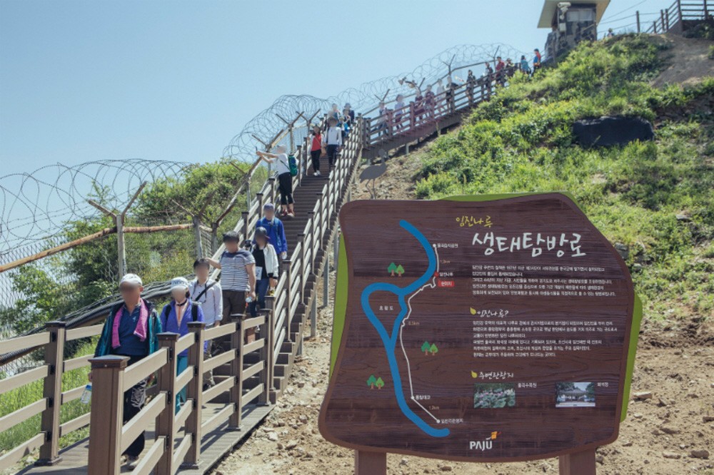 DMZ 캠프 그리브스