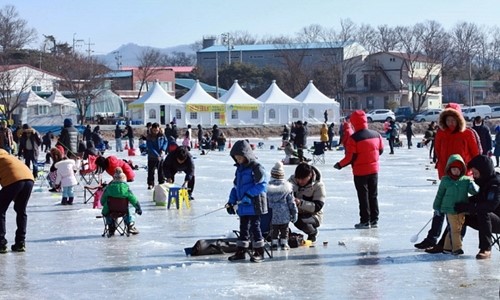 Lễ hội cá hồi tại Yangju